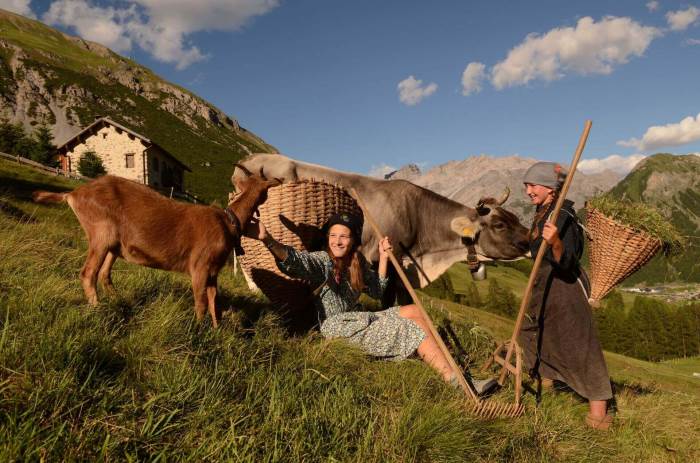 Pascoli e allevamento in altura a Livigno