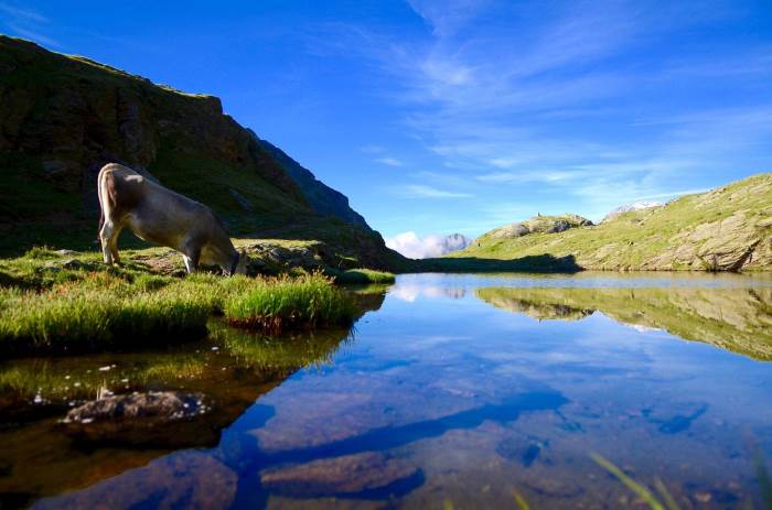 Lago di Livigno in estate