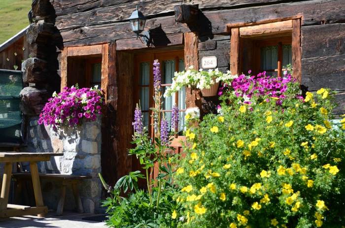 Baita e fiori a Livigno