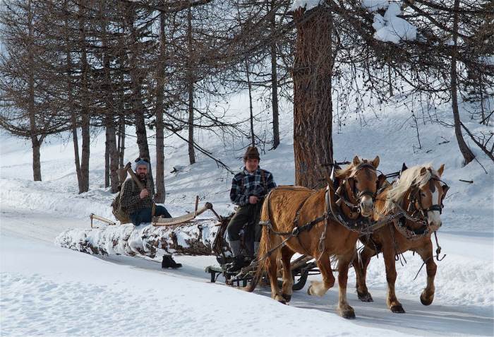 Passeggiata con cavalli e carrozza a Livigno